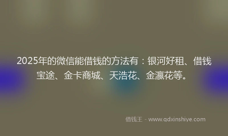 2025年的微信能借钱的方法有：银河好租、借钱宝途、金卡商城、天浩花、金瀛花等。