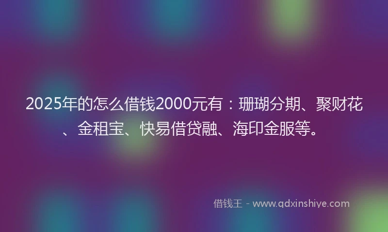 2025年的怎么借钱2000元有：珊瑚分期、聚财花、金租宝、快易借贷融、海印金服等。