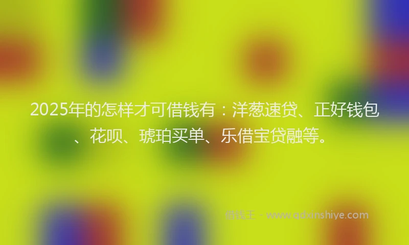 2025年的怎样才可借钱有：洋葱速贷、正好钱包、花呗、琥珀买单、乐借宝贷融等。