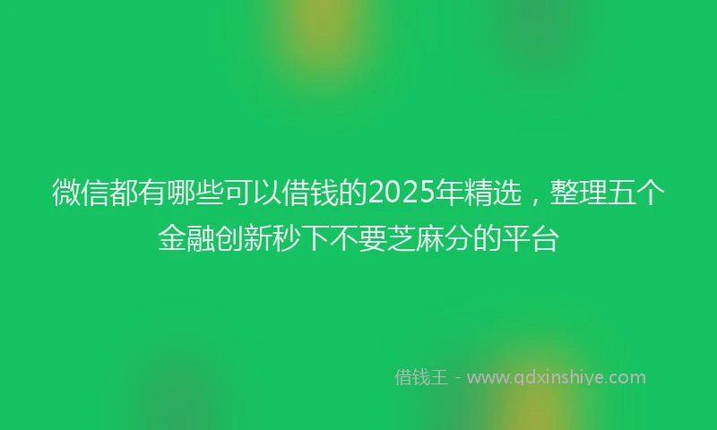 微信都有哪些可以借钱的2025年精选，整理五个金融创新秒下不要芝麻分的平台