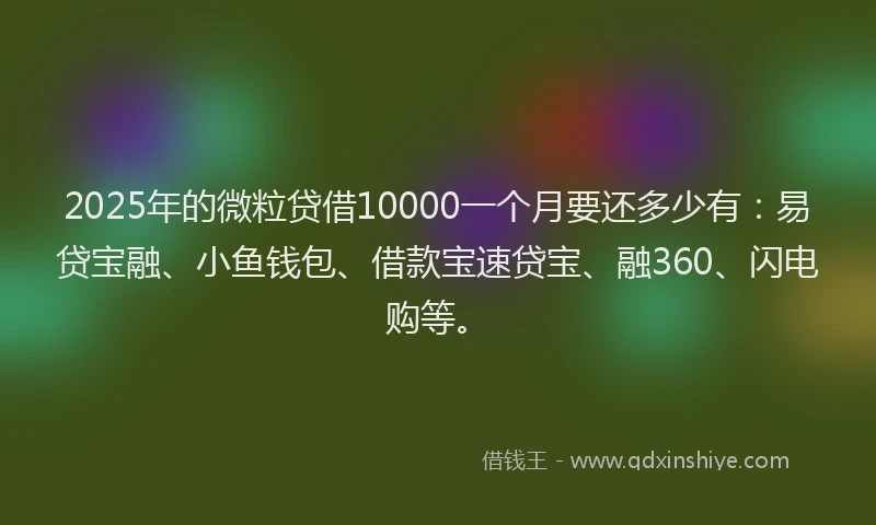 2025年的微粒贷借10000一个月要还多少有：易贷宝融、小鱼钱包、借款宝速贷宝、融360、闪电购等。