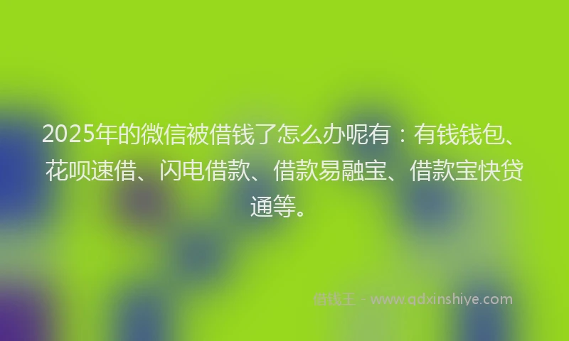 2025年的微信被借钱了怎么办呢有：有钱钱包、花呗速借、闪电借款、借款易融宝、借款宝快贷通等。