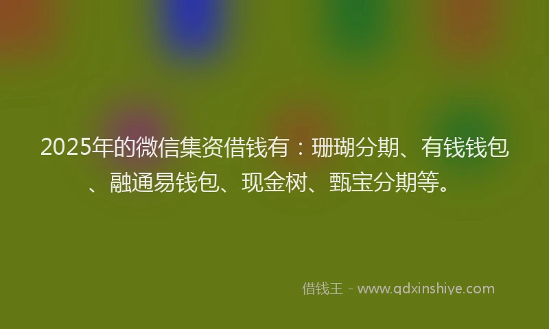 2025年的微信集资借钱有：珊瑚分期、有钱钱包、融通易钱包、现金树、甄宝分期等。