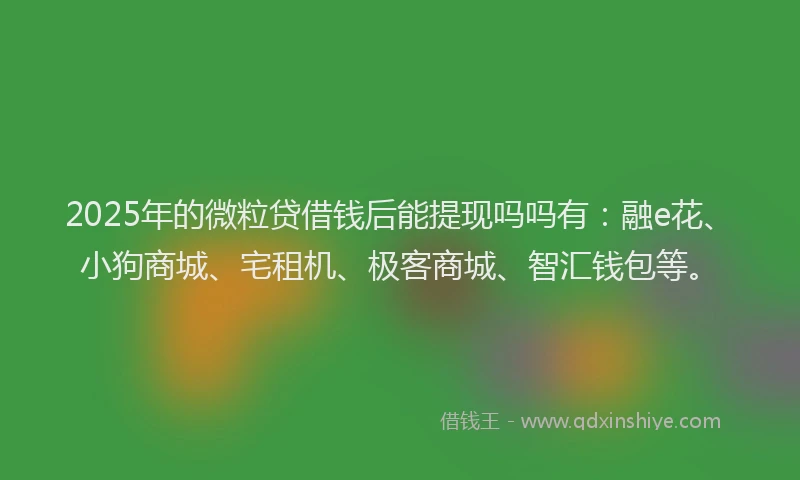2025年的微粒贷借钱后能提现吗吗有：融e花、小狗商城、宅租机、极客商城、智汇钱包等。