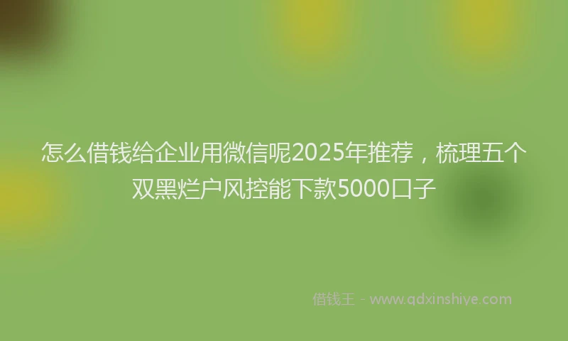 怎么借钱给企业用微信呢2025年推荐，梳理五个双黑烂户风控能下款5000口子