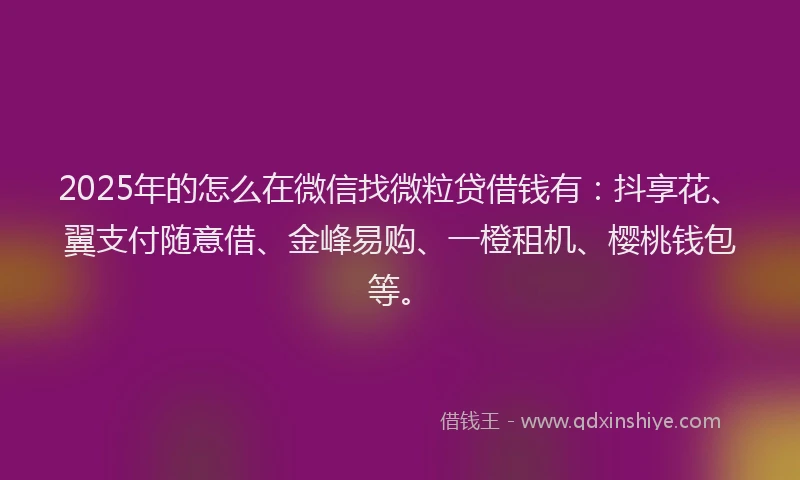 2025年的怎么在微信找微粒贷借钱有：抖享花、翼支付随意借、金峰易购、一橙租机、樱桃钱包等。