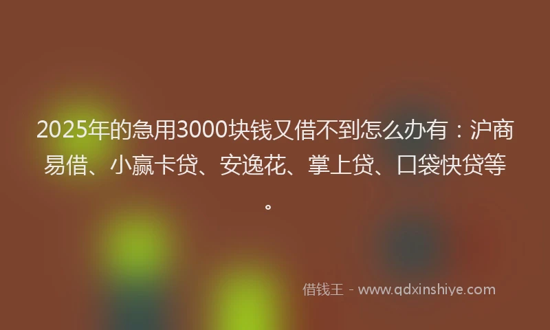 2025年的急用3000块钱又借不到怎么办有：沪商易借、小赢卡贷、安逸花、掌上贷、口袋快贷等。