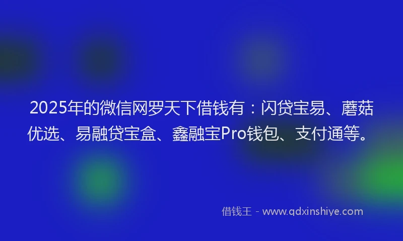 2025年的微信网罗天下借钱有：闪贷宝易、蘑菇优选、易融贷宝盒、鑫融宝Pro钱包、支付通等。