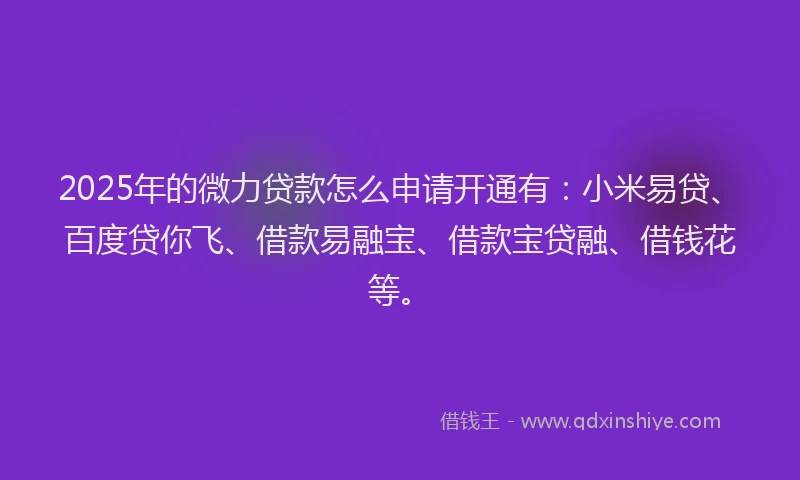 2025年的微力贷款怎么申请开通有：小米易贷、百度贷你飞、借款易融宝、借款宝贷融、借钱花等。