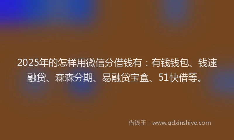 2025年的怎样用微信分借钱有：有钱钱包、钱速融贷、森森分期、易融贷宝盒、51快借等。