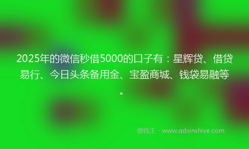 2025年的微信秒借5000的口子有：星辉贷、借贷易行、今日头条备用金、宝盈商城、钱袋易融等。