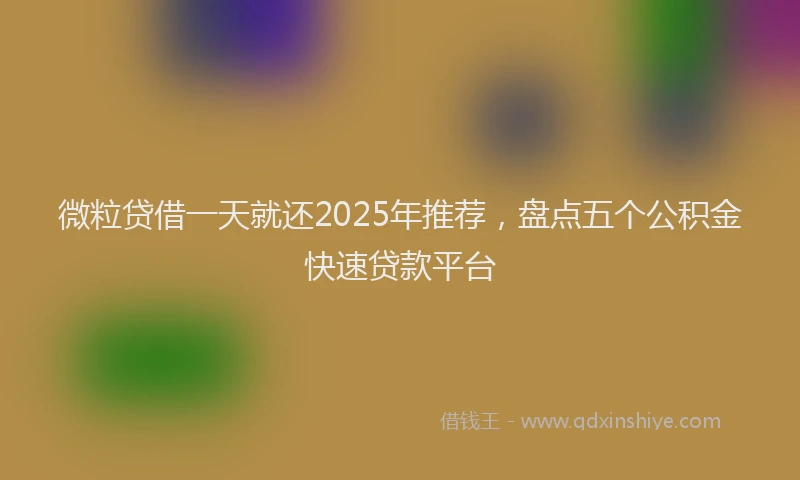 微粒贷借一天就还2025年推荐，盘点五个公积金快速贷款平台