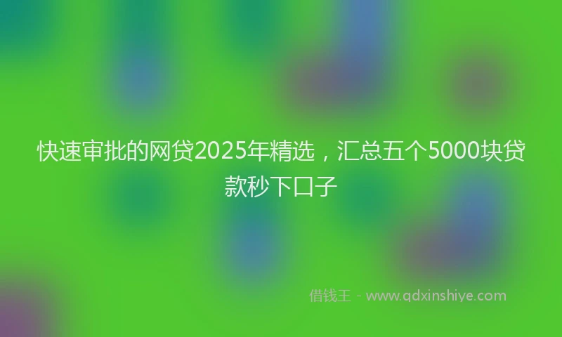 快速审批的网贷2025年精选，汇总五个5000块贷款秒下口子