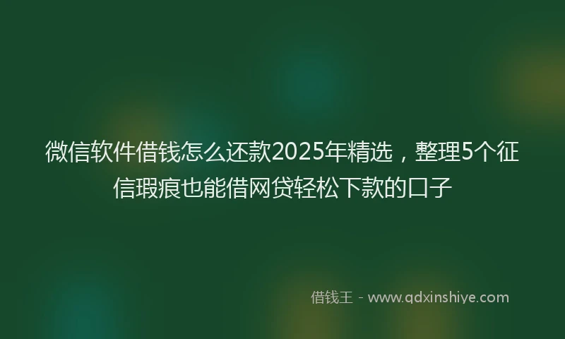 微信软件借钱怎么还款2025年精选，整理5个征信瑕疵也能借网贷轻松下款的口子