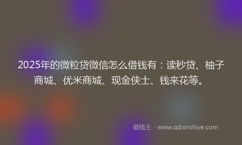 2025年的微粒贷微信怎么借钱有：读秒贷、柚子商城、优米商城、现金侠士、钱来花等。