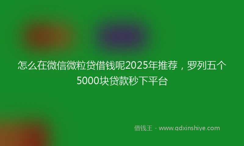 怎么在微信微粒贷借钱呢2025年推荐，罗列五个5000块贷款秒下平台