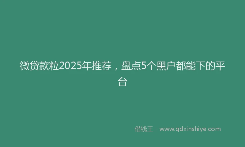 微贷款粒2025年推荐，盘点5个黑户都能下的平台
