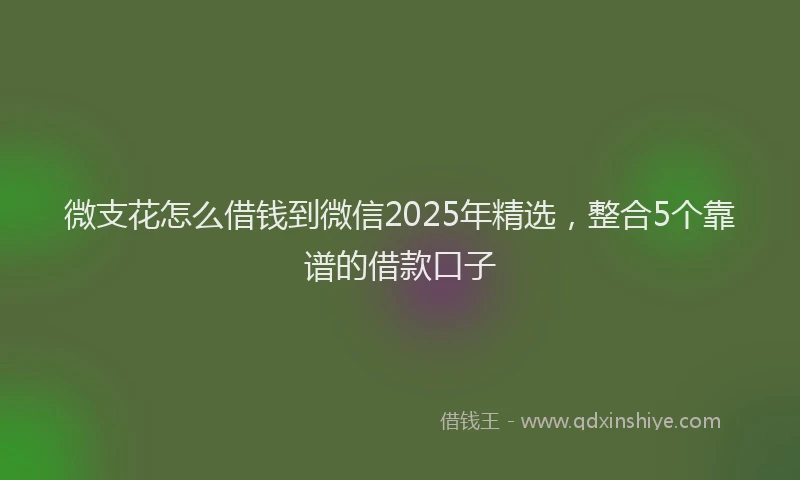 微支花怎么借钱到微信2025年精选，整合5个靠谱的借款口子