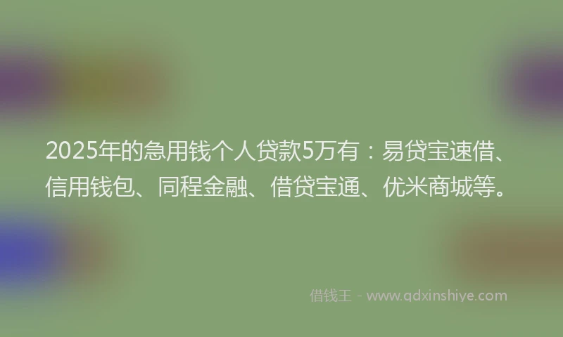 2025年的急用钱个人贷款5万有：易贷宝速借、信用钱包、同程金融、借贷宝通、优米商城等。
