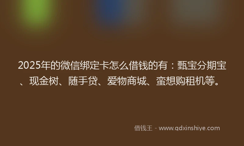 2025年的微信绑定卡怎么借钱的有：甄宝分期宝、现金树、随手贷、爱物商城、蛮想购租机等。