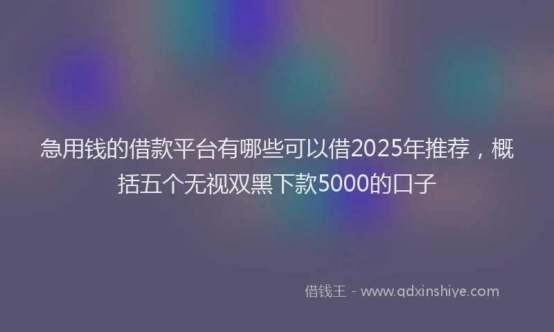 急用钱的借款平台有哪些可以借2025年推荐，概括五个无视双黑下款5000的口子