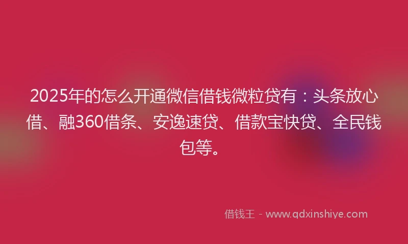 2025年的怎么开通微信借钱微粒贷有：头条放心借、融360借条、安逸速贷、借款宝快贷、全民钱包等。