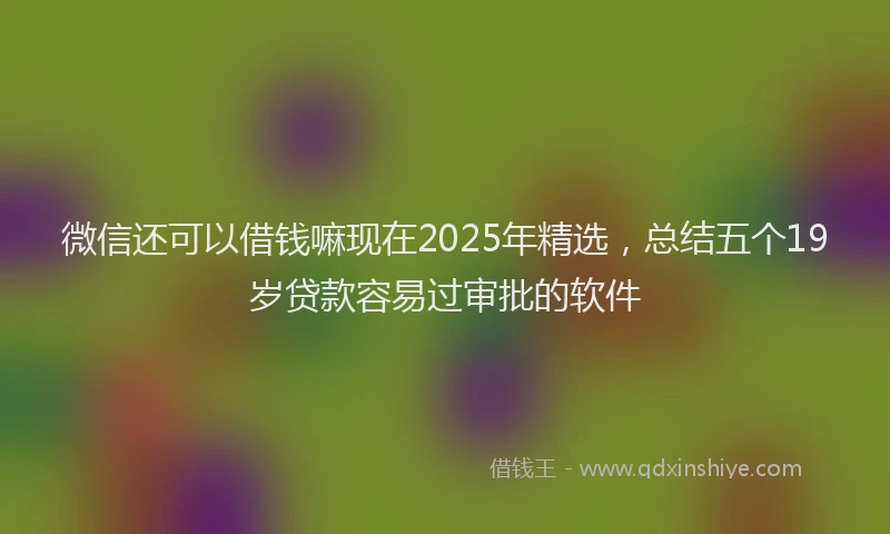 微信还可以借钱嘛现在2025年精选，总结五个19岁贷款容易过审批的软件
