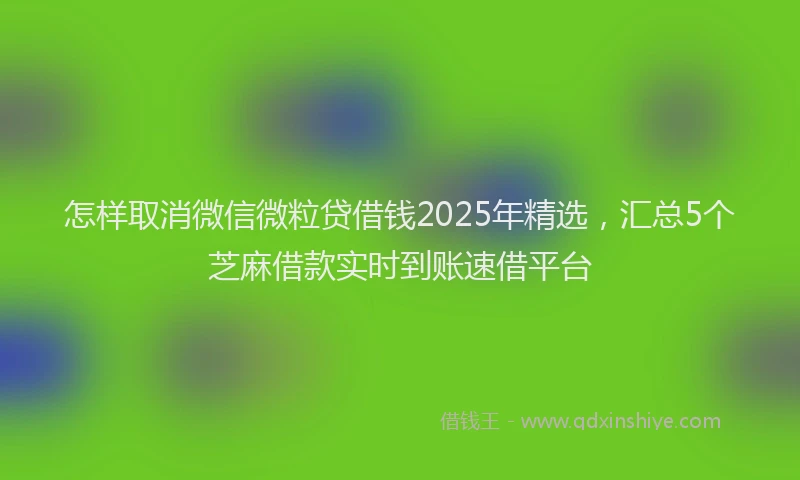 怎样取消微信微粒贷借钱2025年精选，汇总5个芝麻借款实时到账速借平台
