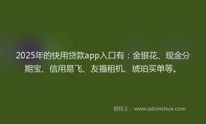 2025年的快用贷款app入口有：金银花、现金分期宝、信用易飞、友福租机、琥珀买单等。