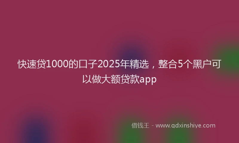 快速贷1000的口子2025年精选，整合5个黑户可以做大额贷款app