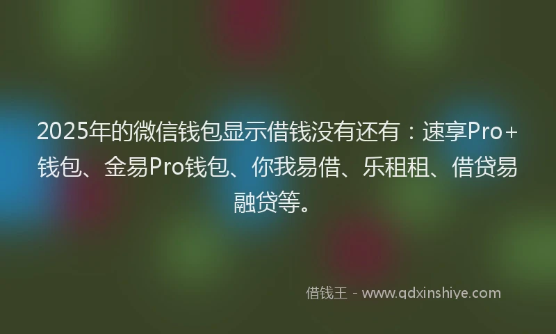 2025年的微信钱包显示借钱没有还有：速享Pro+钱包、金易Pro钱包、你我易借、乐租租、借贷易融贷等。
