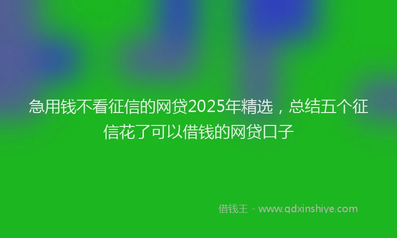 急用钱不看征信的网贷2025年精选，总结五个征信花了可以借钱的网贷口子