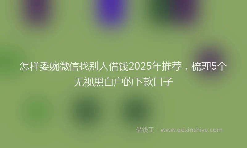 怎样委婉微信找别人借钱2025年推荐，梳理5个无视黑白户的下款口子