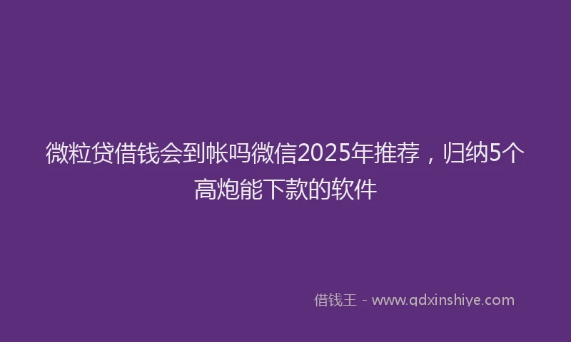 微粒贷借钱会到帐吗微信2025年推荐，归纳5个高炮能下款的软件