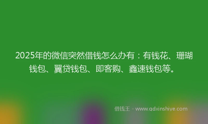 2025年的微信突然借钱怎么办有：有钱花、珊瑚钱包、翼贷钱包、即客购、鑫速钱包等。