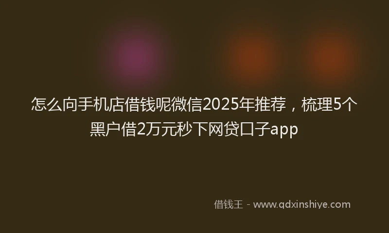 怎么向手机店借钱呢微信2025年推荐，梳理5个黑户借2万元秒下网贷口子app
