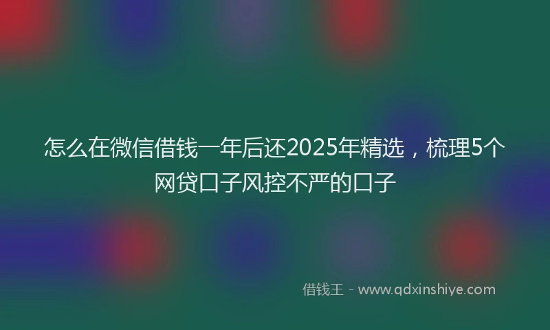 怎么在微信借钱一年后还2025年精选，梳理5个网贷口子风控不严的口子
