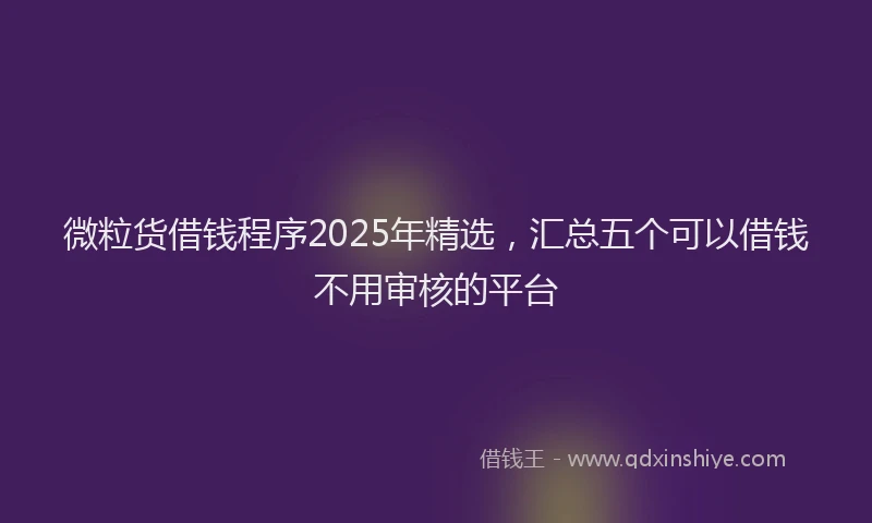 微粒货借钱程序2025年精选，汇总五个可以借钱不用审核的平台