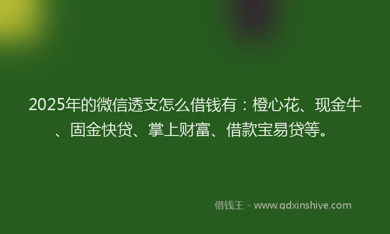 2025年的微信透支怎么借钱有：橙心花、现金牛、固金快贷、掌上财富、借款宝易贷等。