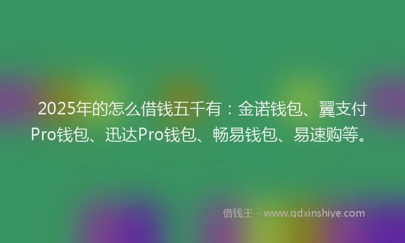 2025年的怎么借钱五千有：金诺钱包、翼支付Pro钱包、迅达Pro钱包、畅易钱包、易速购等。
