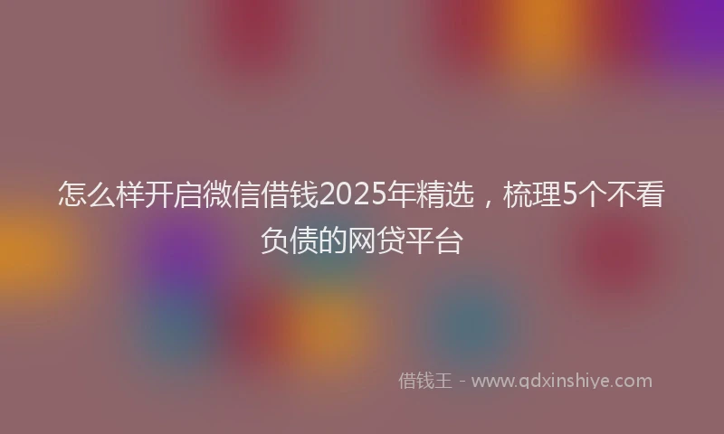 怎么样开启微信借钱2025年精选，梳理5个不看负债的网贷平台