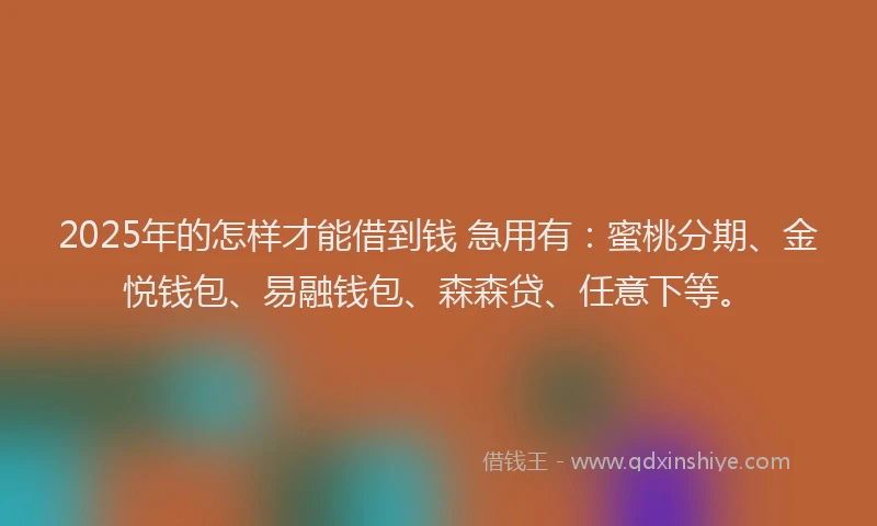 2025年的怎样才能借到钱 急用有：蜜桃分期、金悦钱包、易融钱包、森森贷、任意下等。