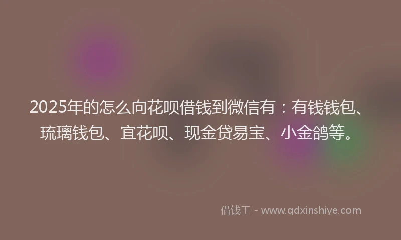 2025年的怎么向花呗借钱到微信有：有钱钱包、琉璃钱包、宜花呗、现金贷易宝、小金鸽等。