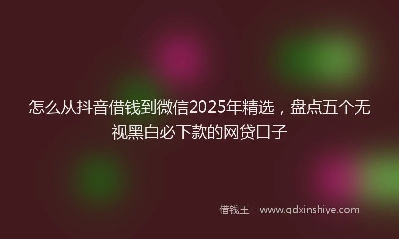 怎么从抖音借钱到微信2025年精选，盘点五个无视黑白必下款的网贷口子