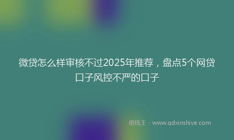 微贷怎么样审核不过2025年推荐，盘点5个网贷口子风控不严的口子