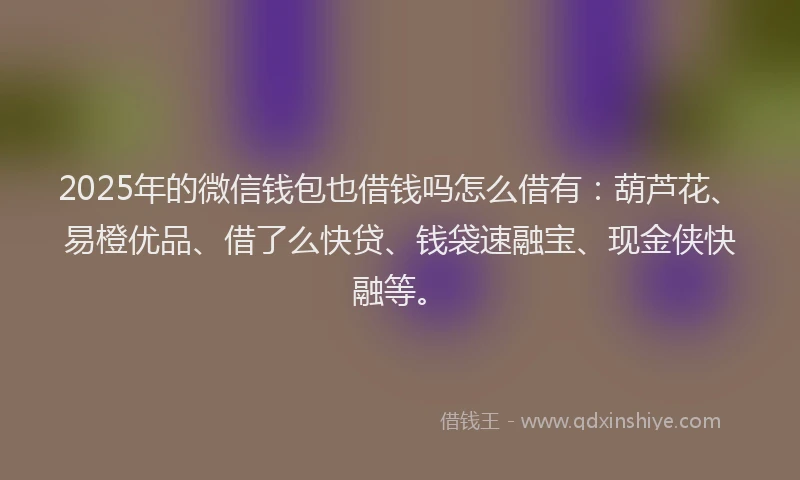 2025年的微信钱包也借钱吗怎么借有：葫芦花、易橙优品、借了么快贷、钱袋速融宝、现金侠快融等。