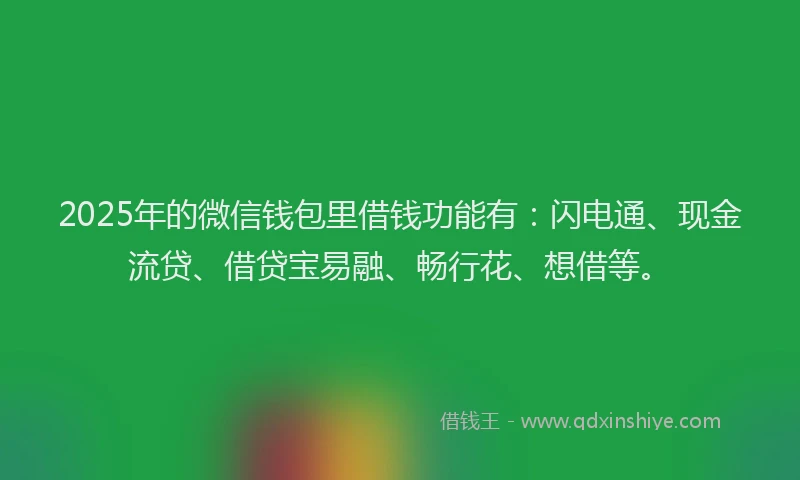 2025年的微信钱包里借钱功能有：闪电通、现金流贷、借贷宝易融、畅行花、想借等。