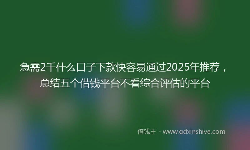 急需2千什么口子下款快容易通过2025年推荐，总结五个借钱平台不看综合评估的平台
