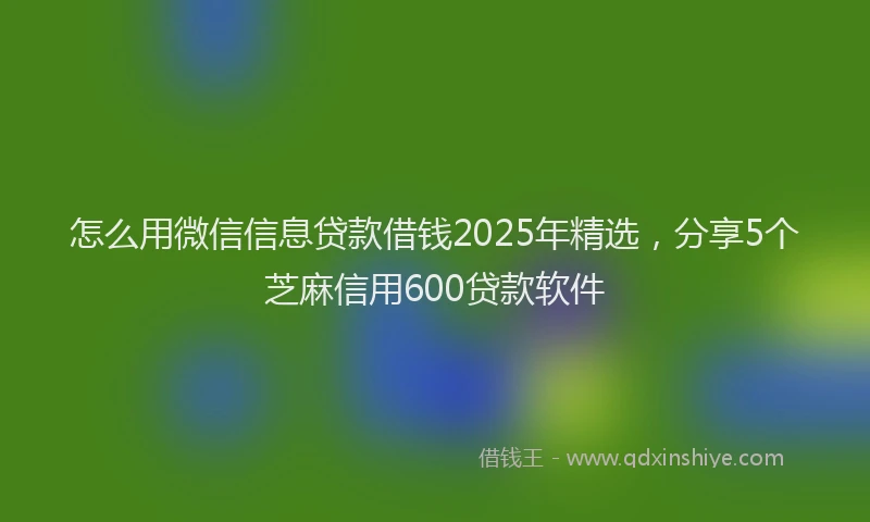 怎么用微信信息贷款借钱2025年精选，分享5个芝麻信用600贷款软件