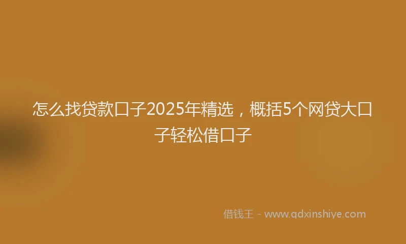 怎么找贷款口子2025年精选，概括5个网贷大口子轻松借口子